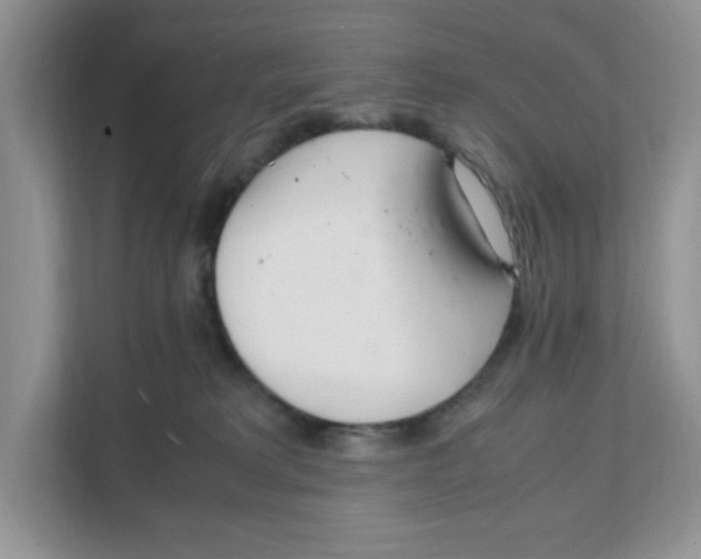 X0000108480229200905011208