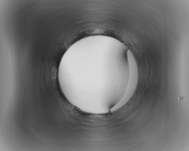 X0000108480230200905011208