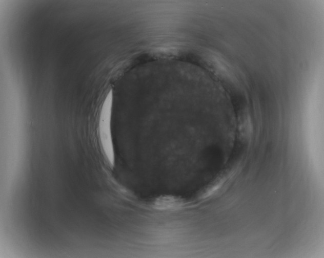 X0000108480231200905011208