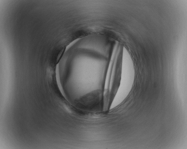 X0000108480235200905011208