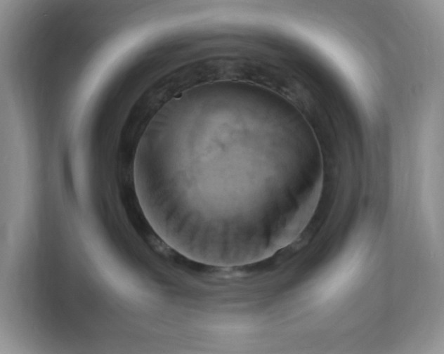 X0000108480239200905011208
