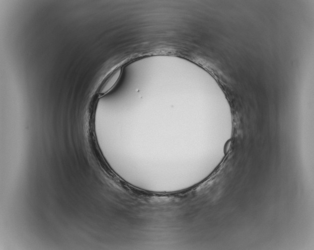 X0000108480242200905011207