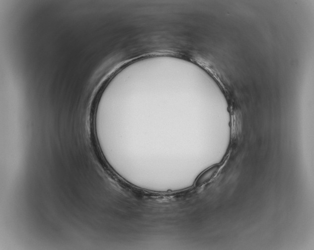 X0000108480243200905011207