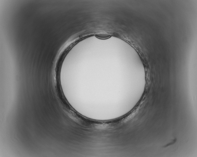 X0000108480246200905011207