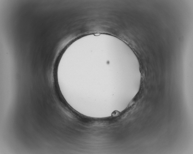 X0000108480248200905011207