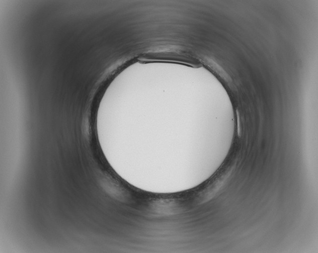 X0000108480252200905011208