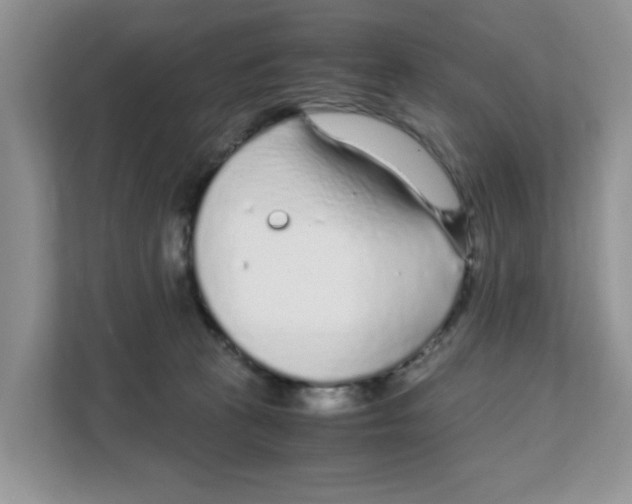 X0000108480273200905011208