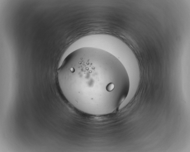 X0000108480277200905011208