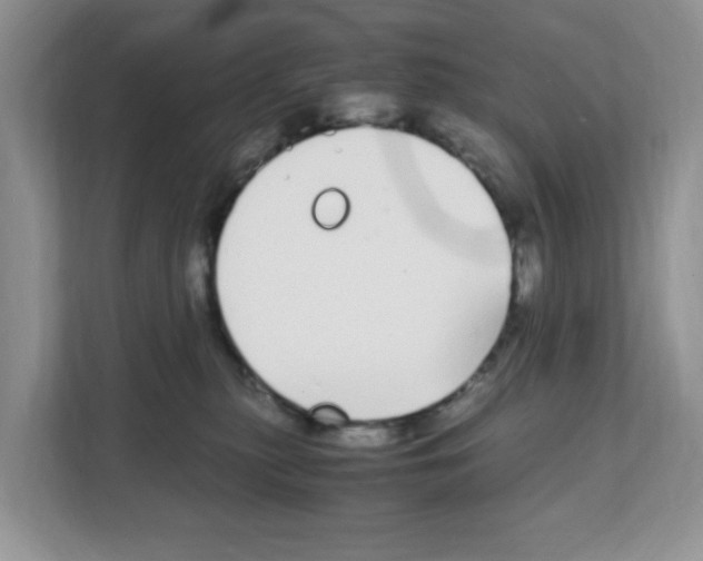 X0000108480279200905011208