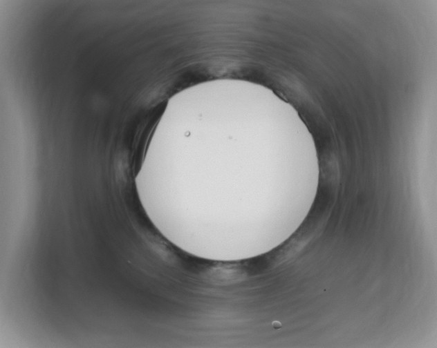 X0000108480280200905011208