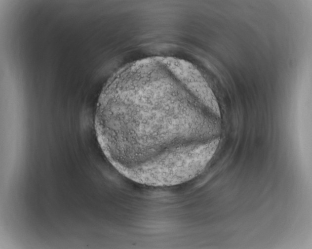 X0000108480284200905011208