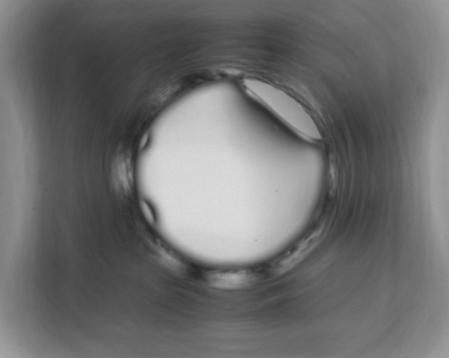 X0000108480285200905011208