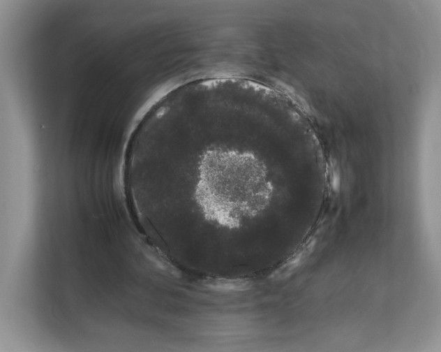 X0000108480292200905011207