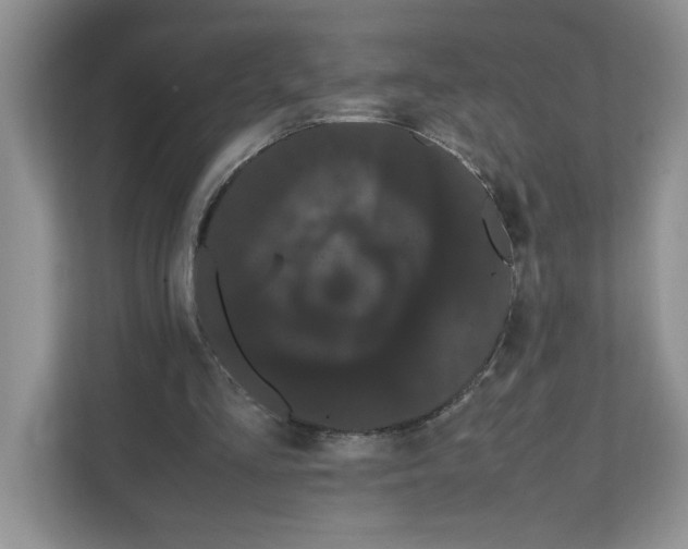 X0000108480293200905011207