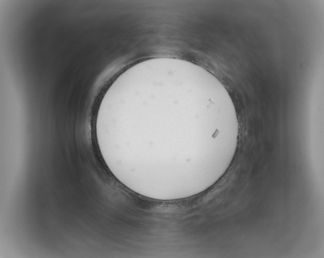 X0000108480294200905011207