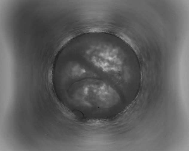 X0000108480297200905011207