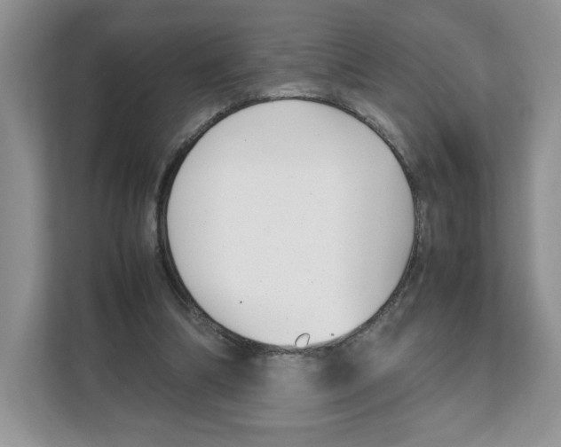 X0000108480298200905011207