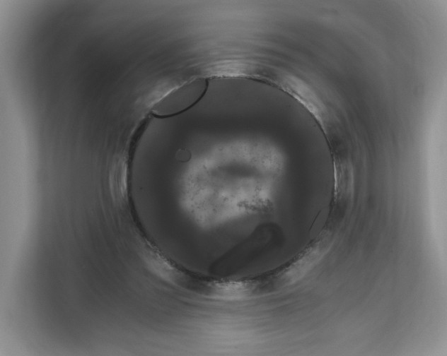 X0000108480301200905011207