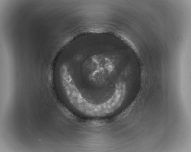 X0000108480305200905011207