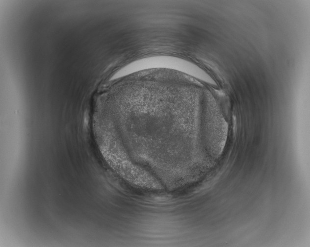 X0000108480308200905011207