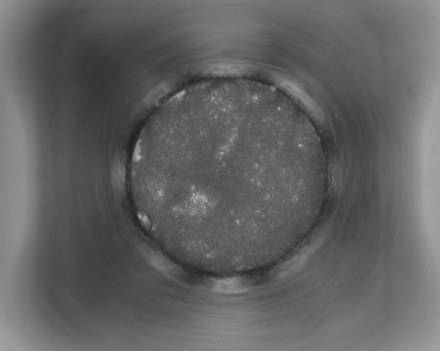 X0000108480309200905011207