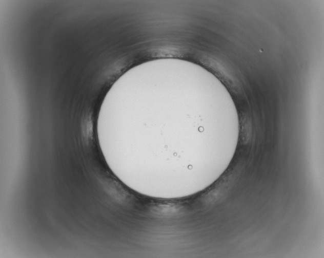 X0000108480310200905011207