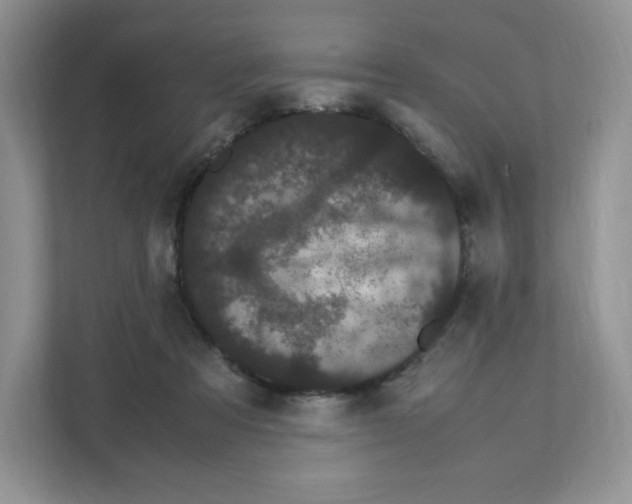 X0000108480313200905011207