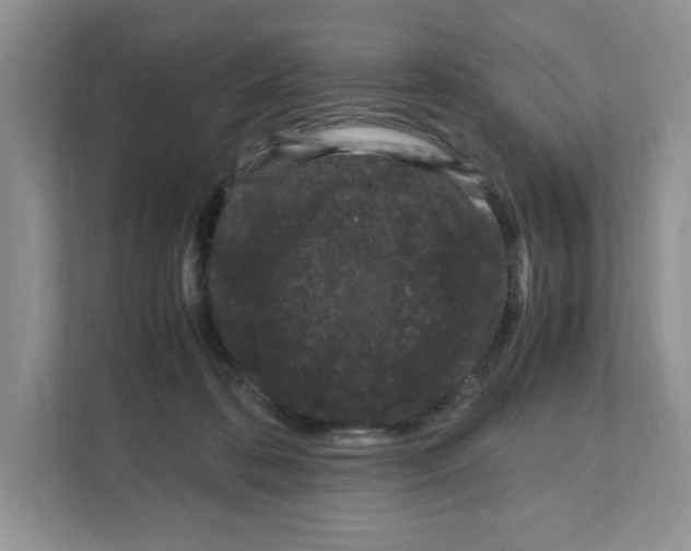 X0000108480316200905011207