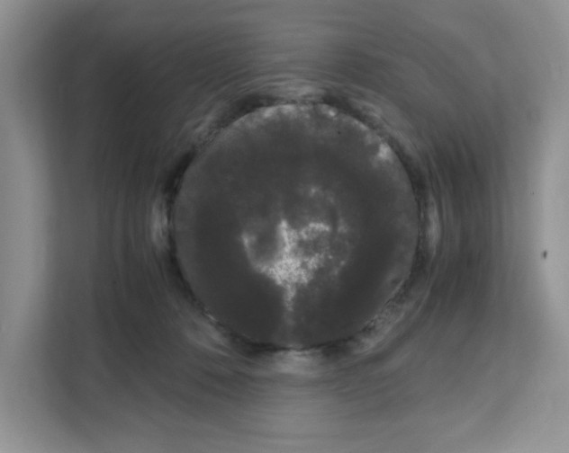 X0000108480320200905011207