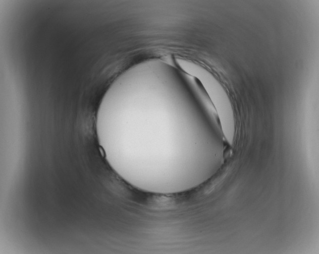 X0000108480325200905011207