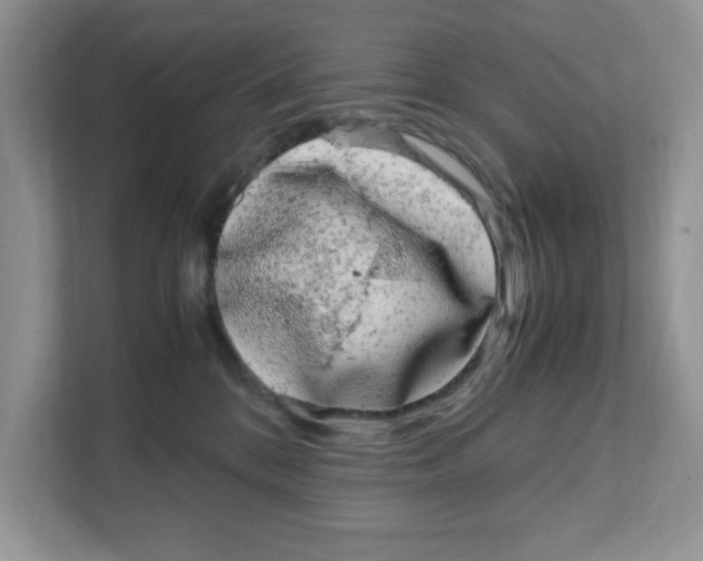 X0000108480328200905011207