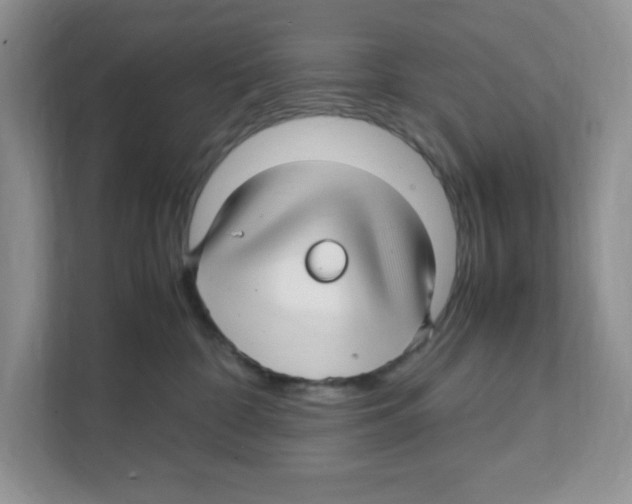 X0000108480332200905011207