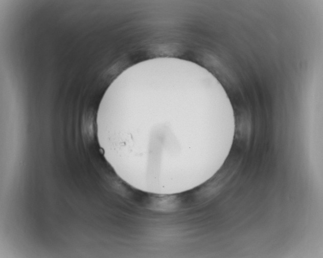 X0000108480334200905011207