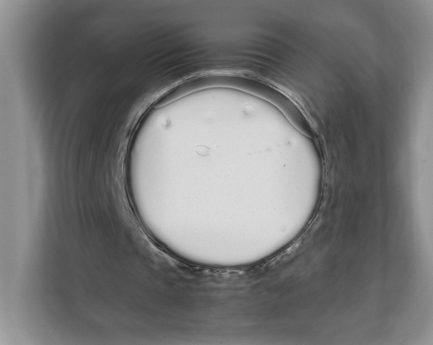 X0000108480337200905011206