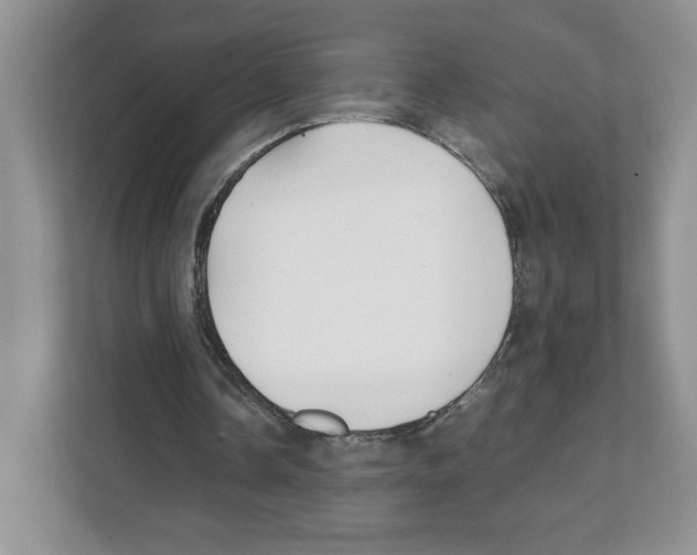 X0000108480338200905011206