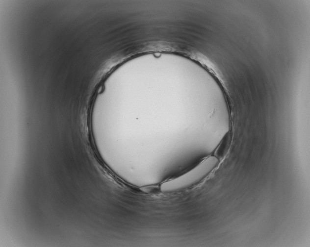 X0000108480345200905011206