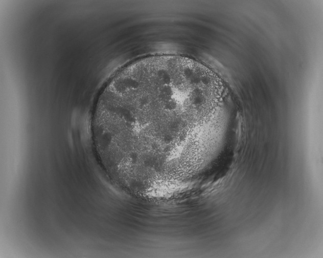X0000108480347200905011206