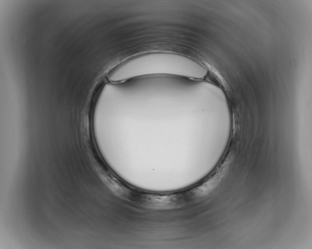 X0000108480349200905011206