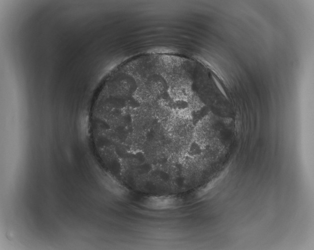 X0000108480351200905011206