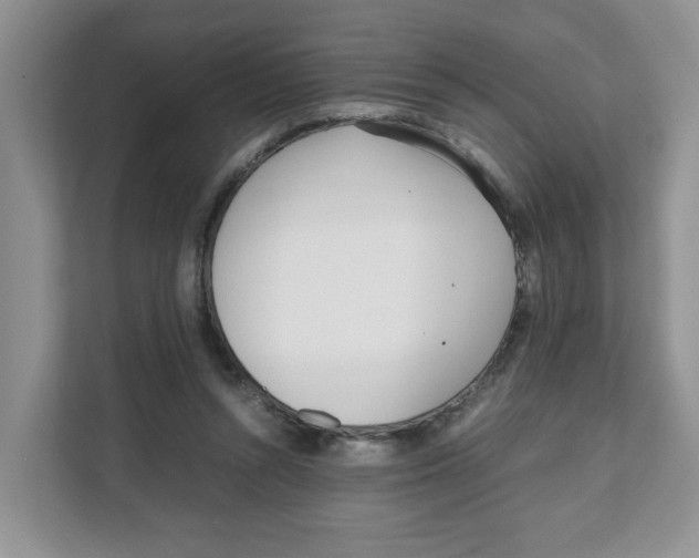 X0000108480352200905011206