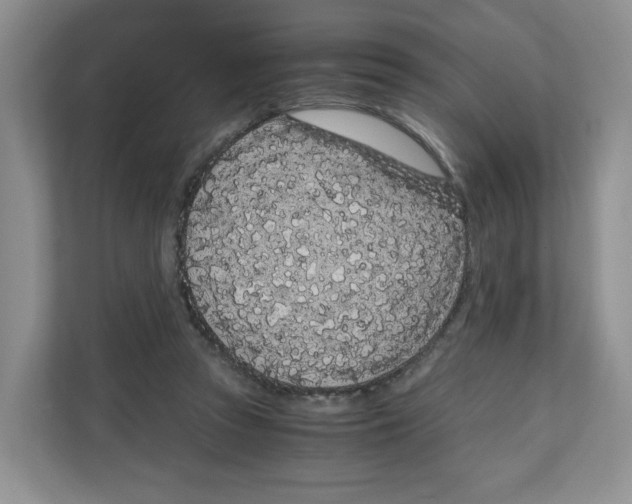 X0000108480353200905011206