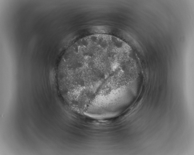 X0000108480359200905011206