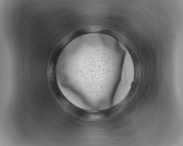 X0000108480360200905011206