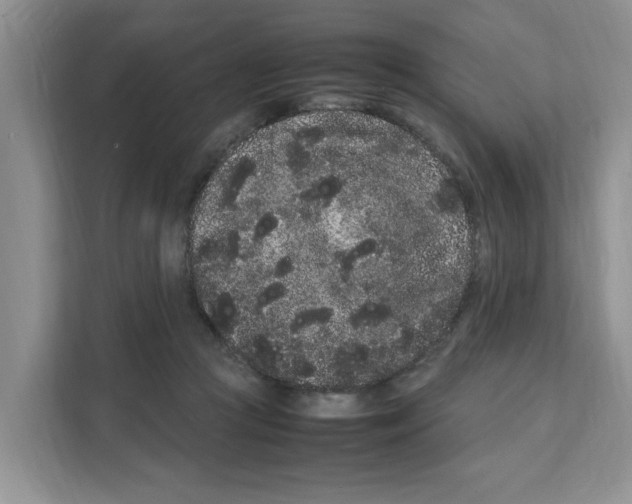 X0000108480361200905011206