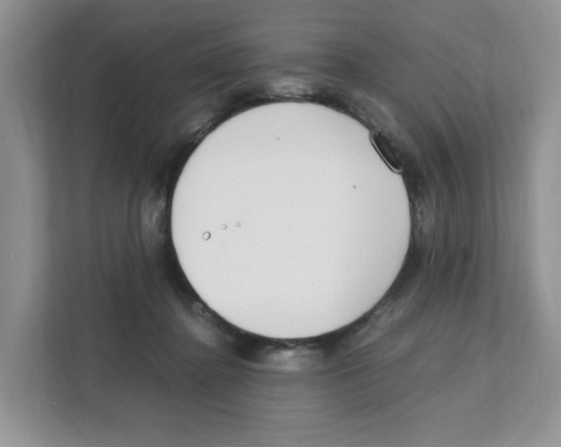 X0000108480364200905011206