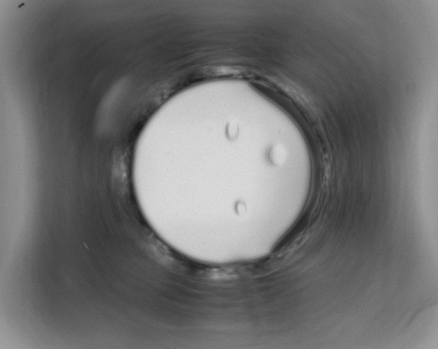 X0000108480373200905011207