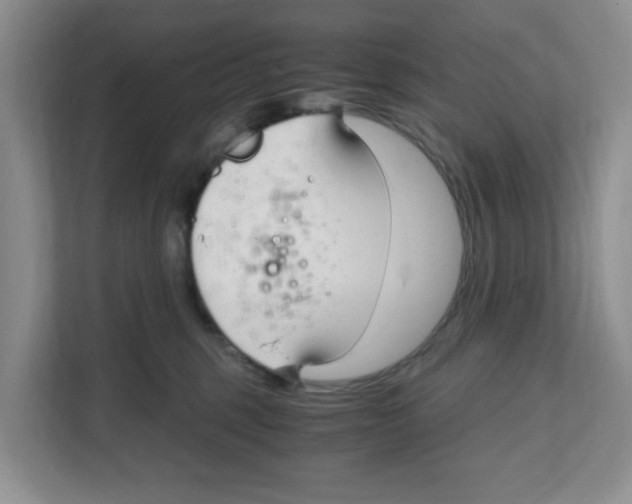 X0000108480375200905011207