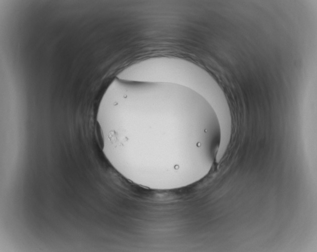 X0000108480376200905011207