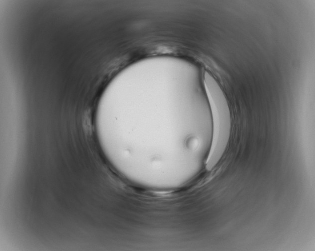 X0000108480377200905011207