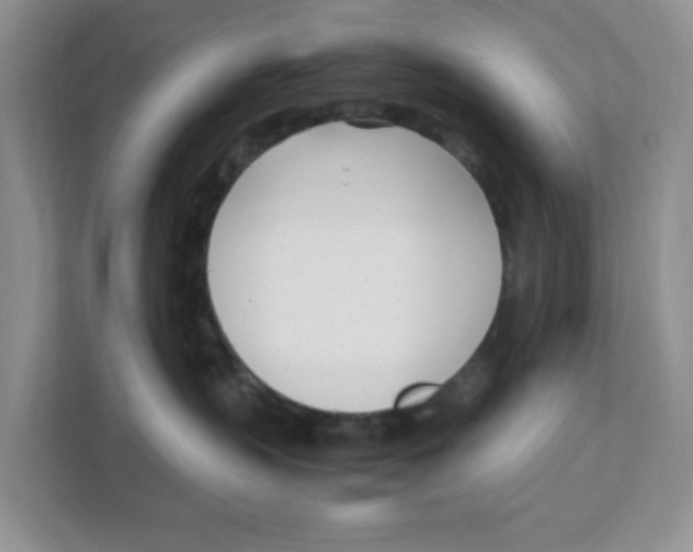 X0000108480383200905011207